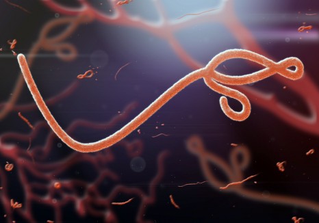 blog's thumbnail